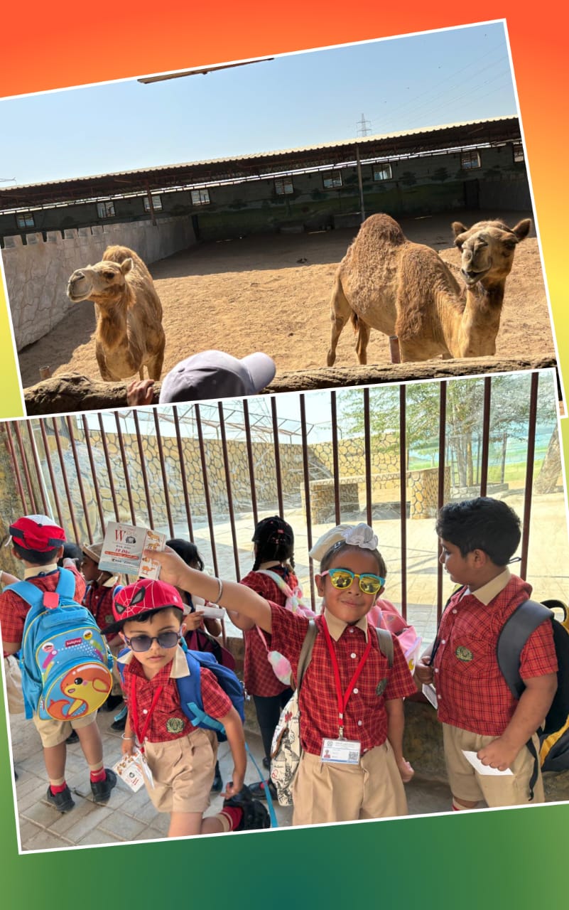 Kindergarteners Visit Rak Zoo! 