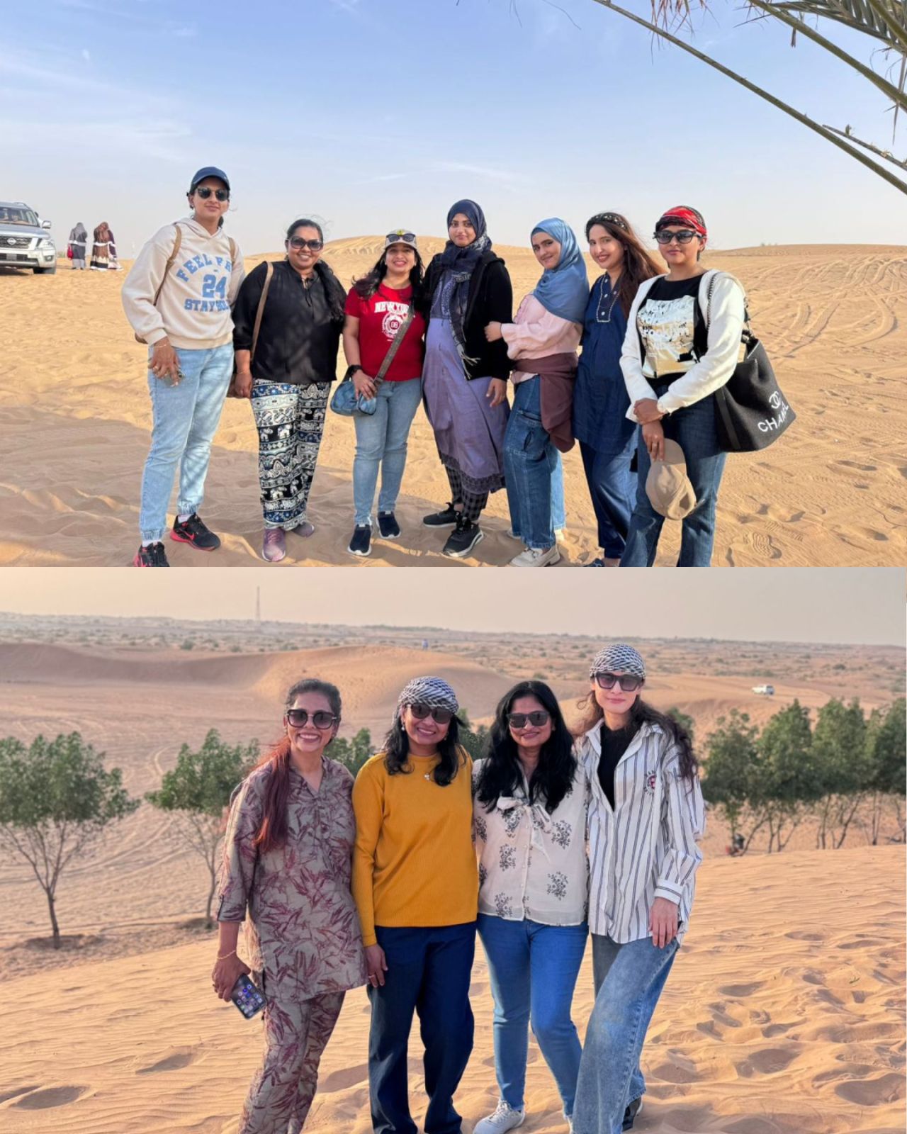 1771131989989 |DPS Ras Al Khaimah | CBSE School