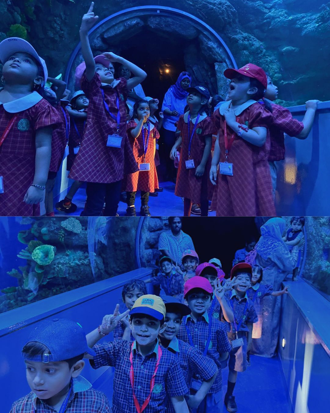 1779193507919 |DPS Ras Al Khaimah | CBSE School