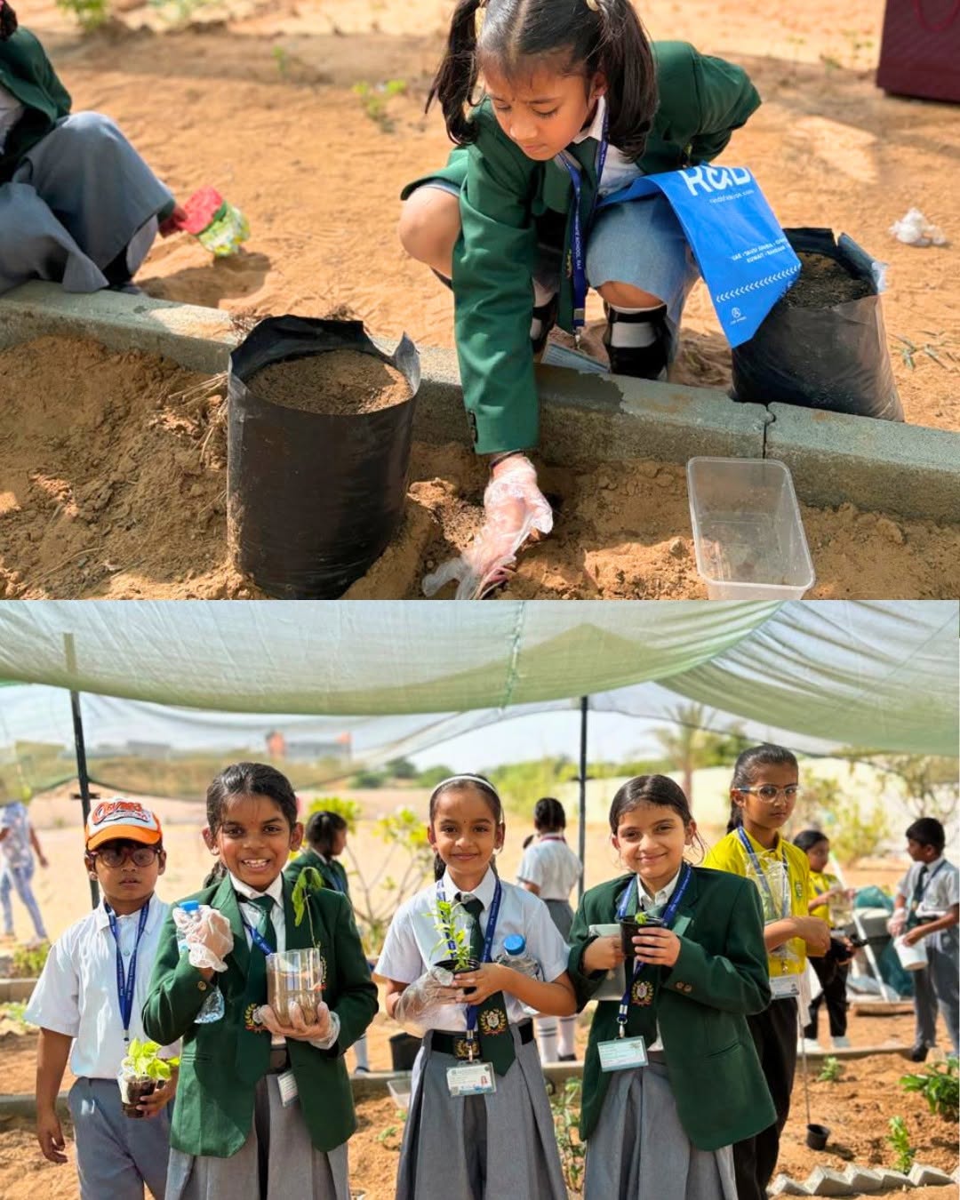 717974161 1044722661403614 7176469089856859798 n |DPS Ras Al Khaimah | CBSE School