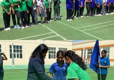 718553910 1049887187553828 2020520496011445067 n |DPS Ras Al Khaimah | CBSE School