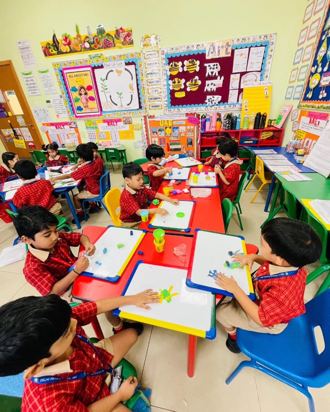 735058565 1067843765758170 3562313864848163459 n |DPS Ras Al Khaimah | CBSE School